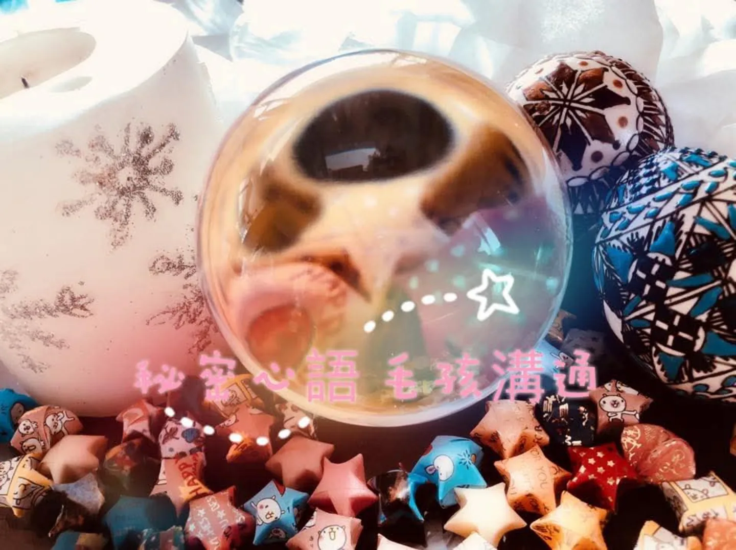 秘密心語水晶球主視覺
